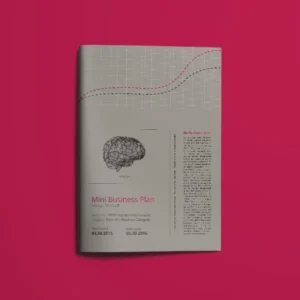 Mini Business Plan Template